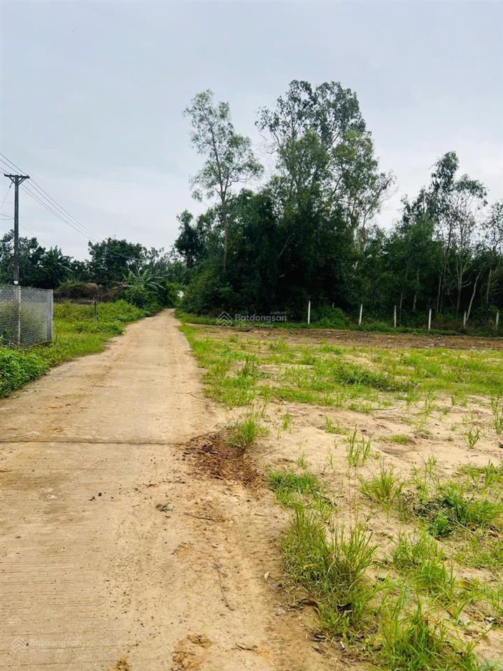 Vườn cho ace phân lô tach thưa ối dời ơi ngay đẹp nhứt mình nhưt mẩy