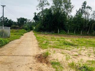 Vườn cho ace phân lô tach thưa ối dời ơi ngay đẹp nhứt mình nhưt mẩy