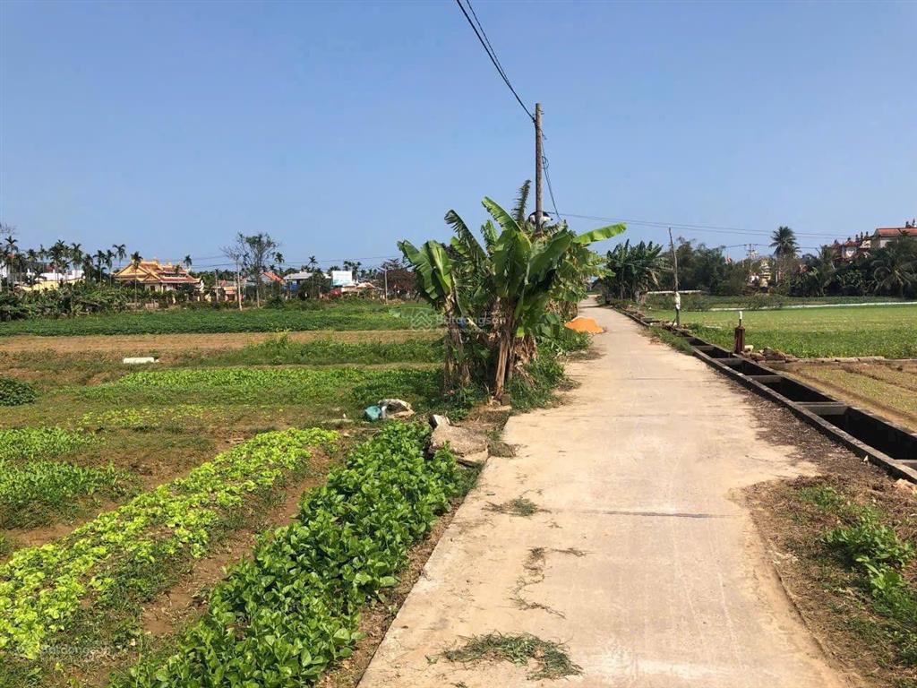 Lô đất vườn giá khá rẻ bê tông ô tô đên đất 360m2 gần hội an