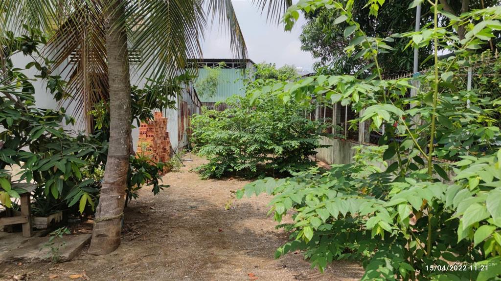 Cần bán 169m2 thổ cư 100% tại khối 3 thị trấn cần giuộc, đường xe tải, giá 2.35 tỷ,  0984 459 ***