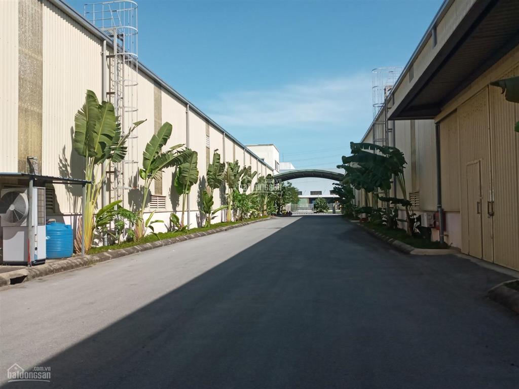 Cho thuê kho, xưởng mới khu bình giang dt 100.000m2(chia lẻ theo y/c) ốp panel cần trục 20t pccc
