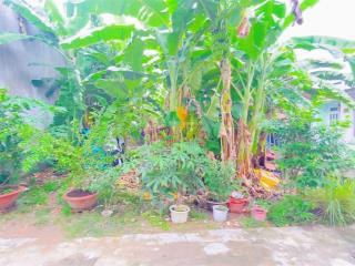 Bán đất ngang 9,4m thổ cư hẻm 278 đường tầm vu