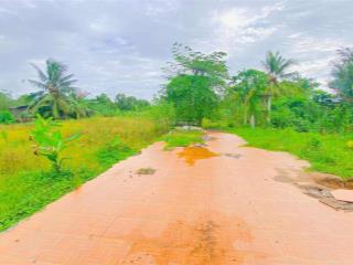 Bán đất 3.100 m2 hẻm nguyễn văn linh có view sông