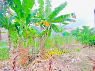 Bán đất 450 m2 gần cầu đầu sấu đường 3/2