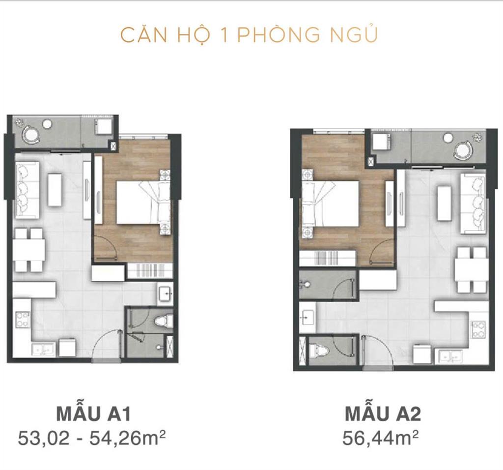 Căn hộ 1pn view biển, cắt lỗ 100tr vũng tàu pearl,  host thủy 0901 681 ***