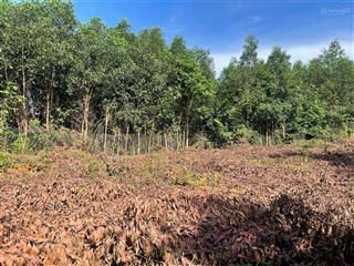 Đất chính chủ cơ hội đầu tư sinh lời tại châu đức, brvt 1,8 tỷ, võ thủy 0901 681 ***