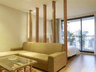 Chung cư 1 ngủ 1 khách, 50m2, thoáng, tại trung hòa, cầu giấy, giá giảm ngay 2tr/th cho dịp hè