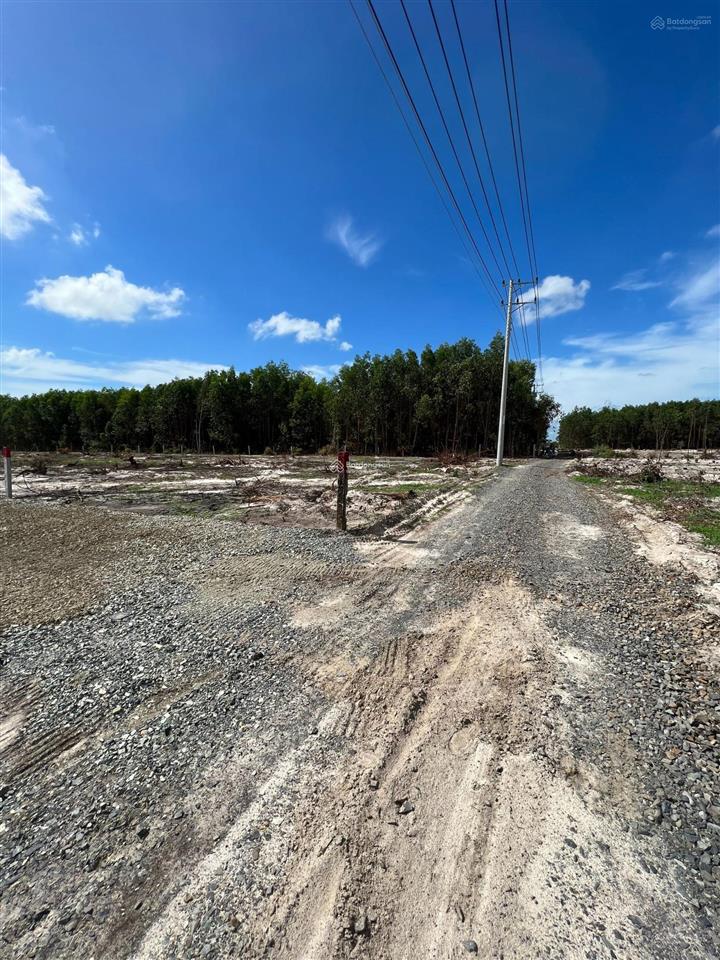 Bán đất mẫu vị trí 2 lê văn duyệt, giá 5.5 tỷ/ha, tổng 1.5 ha giá tốt đầu tư