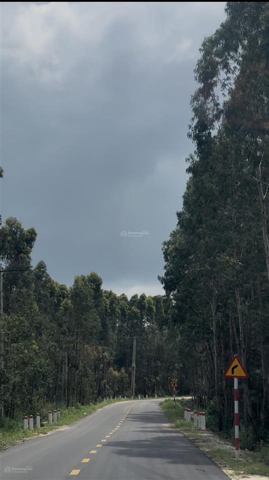 Bán hơn 6500m2 đất xã tân bình, lagi, đường xe bán tải tới đất, cách nhựa vài trăm mét giá 1 tỷ