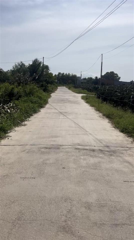 Bán vài lô đất nền tại vị trí 2 đống đa, tân tiến(cũ), lagi dt mỗi lô 5x30m full thổ giá 480 triệu