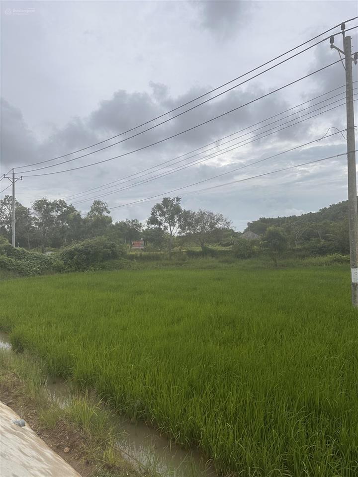 Bán đất mặt tiền nguyễn minh châu  lagi diện tích 911m2 giá 1 tỷ