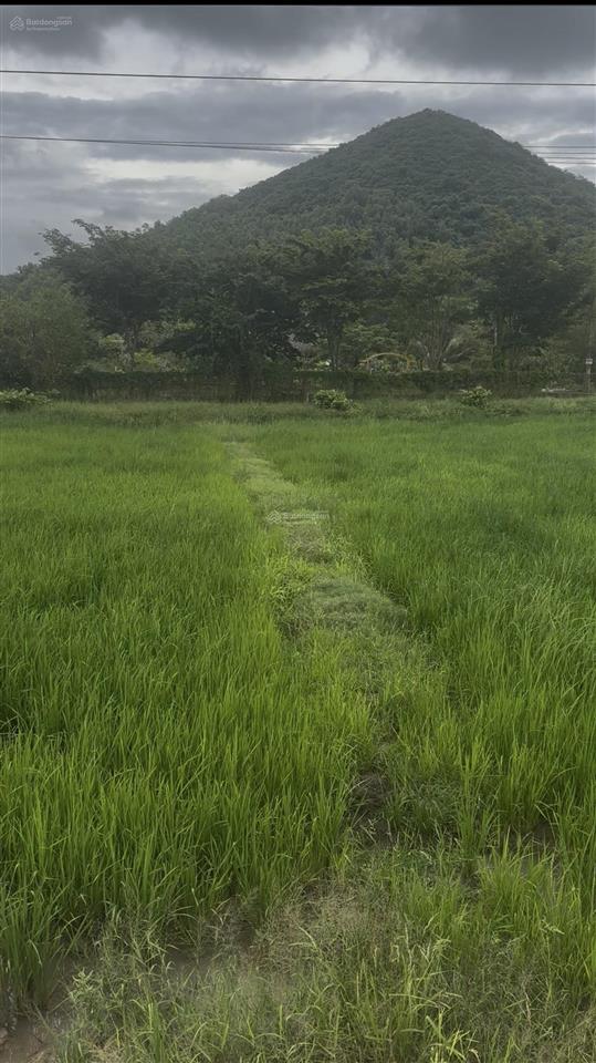 Bán đất mặt tiền nguyễn minh châu  lagi diện tích 911m2 giá 1 tỷ