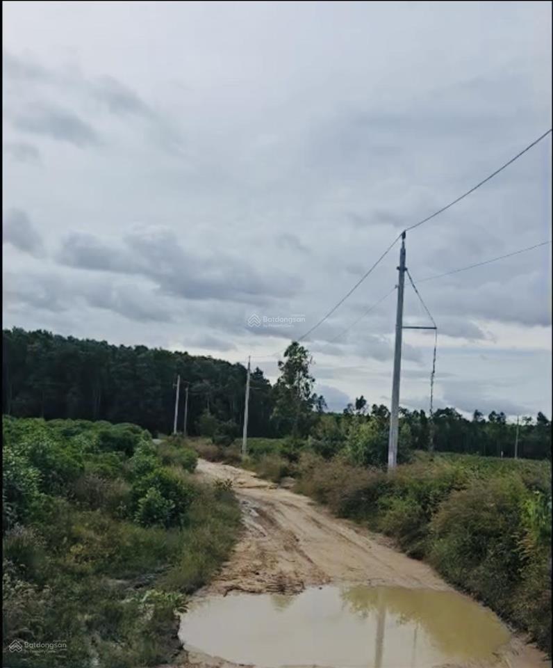 Bán 2 lô liền kề vị trí 2 lê đức thọ, tân bình, lagi, mỗi lô dt 1400m2 giá 450 triệu