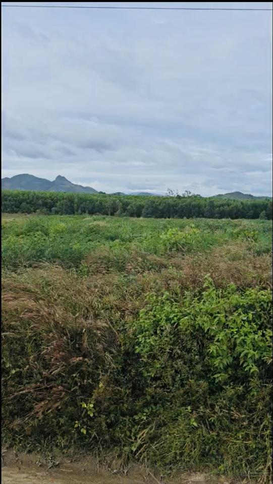 Bán 2 lô liền kề vị trí 2 lê đức thọ, tân bình, lagi, mỗi lô dt 1400m2 giá 450 triệu