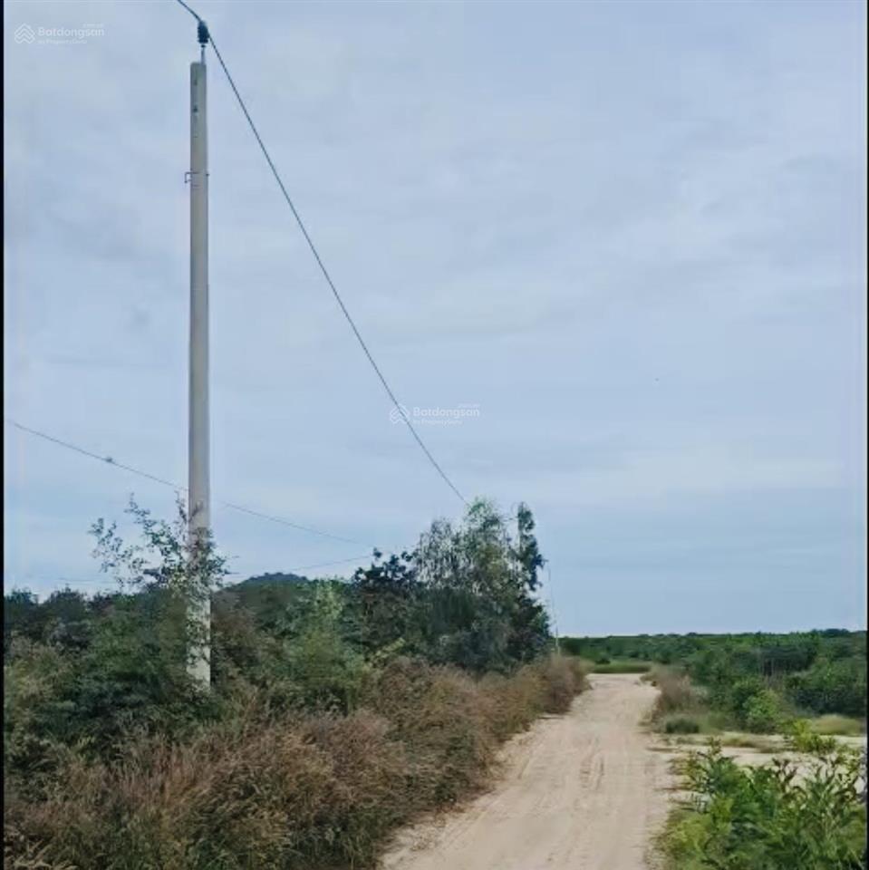 Bán 2 lô liền kề vị trí 2 lê đức thọ, tân bình, lagi, mỗi lô dt 1400m2 giá 450 triệu