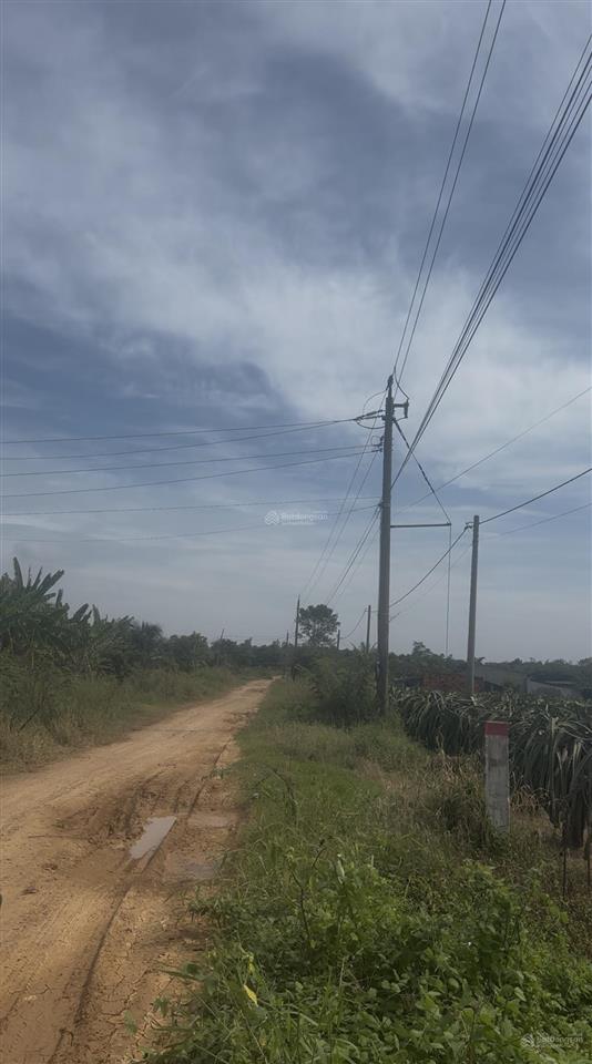 Bán lô đất đường sắp đổ nhựa cắt đinh công tráng, tân tiến, diện tích 1116m2 giá 850 triệu