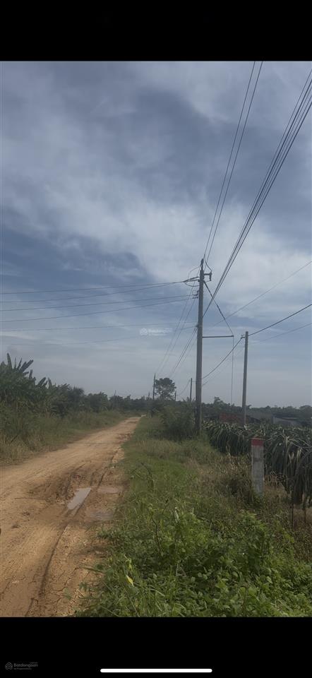 Bán lô đất đường sắp đổ nhựa cắt đinh công tráng, tân tiến, diện tích 1116m2 giá 850 triệu