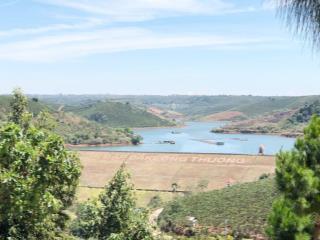 Bán gấp đất vườn cà phê + tiêu siêu đẹp 4.700m2, chỉ 3 tỷ