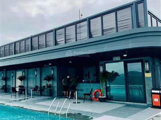 Central realty company đơn vị phân phối chính thức chung cư altara residences,  0866 073 ***