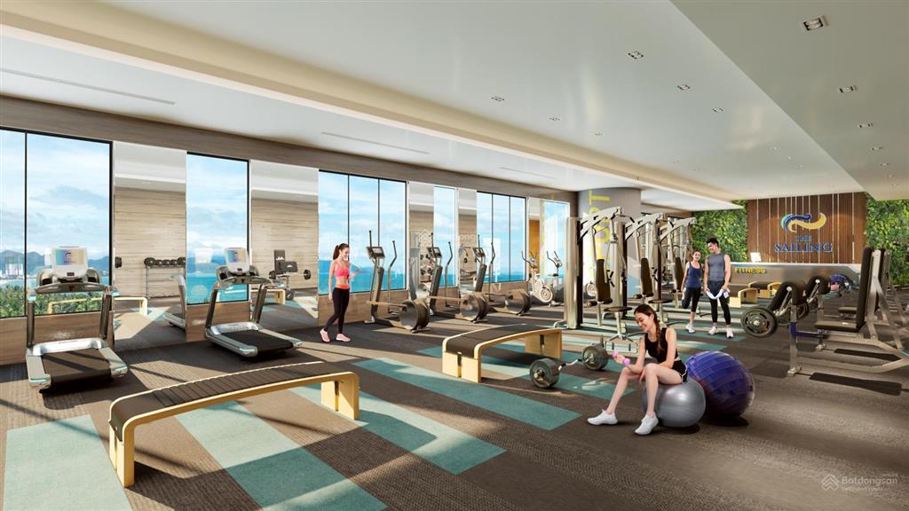 (tháng 01/2026) thông tin chính thống dự án the sailing quy nhơn tòa a   phòng kd 0876 683 ***