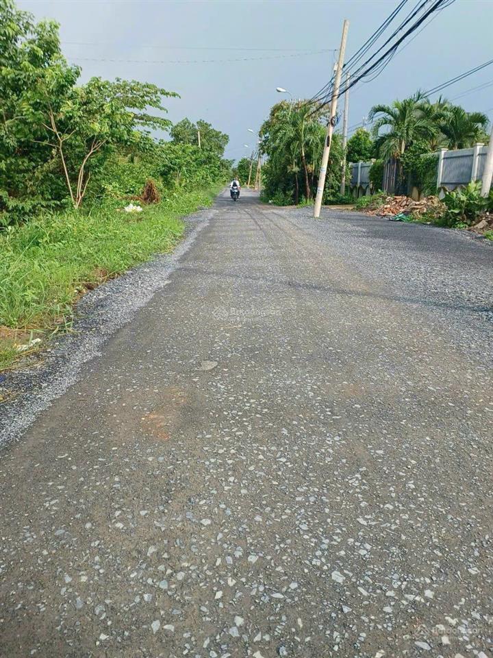 Bán đất vườn trọn sổ diện tích 1146m2 huyện bình chánh, tp. hcm