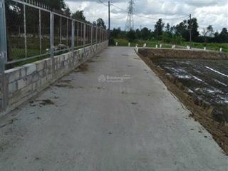 Bán đất xã tân nhựt trọn sổ 1000m2 huyện bình chánh, tp. hcm