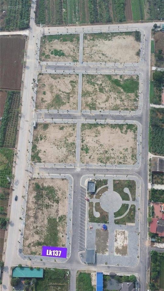 Đấu giá tân dân mới tuyệt đẹp, không bốt điện, hố gas sẵn sổ giao dịch