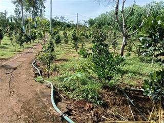 Chủ lên lô đất giá rẻ 2358m2 80m thổ cư có nhà cấp 4 phủ hồng 2 mặt tiền nhựa và betong khu dân cư