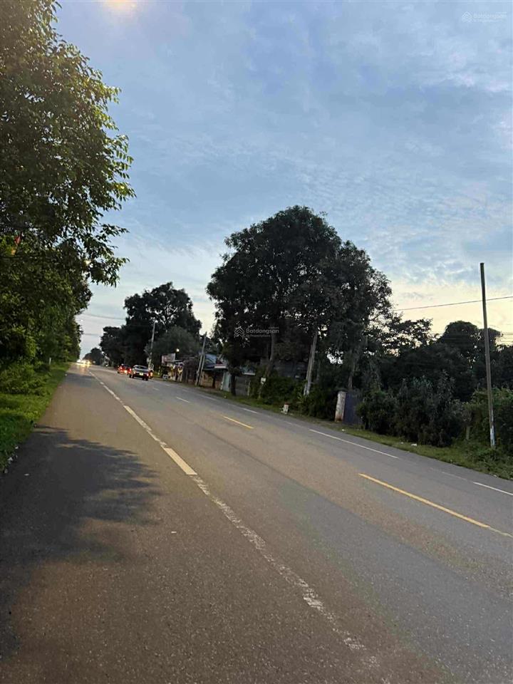 Chủ định cư nước ngoài cần bán 5800m2 300m2 đất ở vị trí mặt tiền quốc lộ 56 giá chưa đến 2tr2/m2