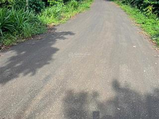 Chủ cần tiền bán gấp 2 sào đất 24m mặt tiền đường nhựa khu dân cư đông đúc