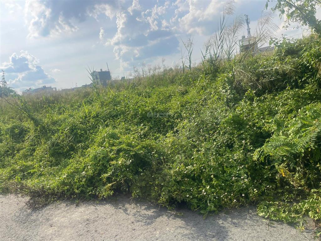 Bán đất 90m2, 6,7 tỷ tại khu dân cư sở văn hóa thông tin, liên phường, q9, hcm