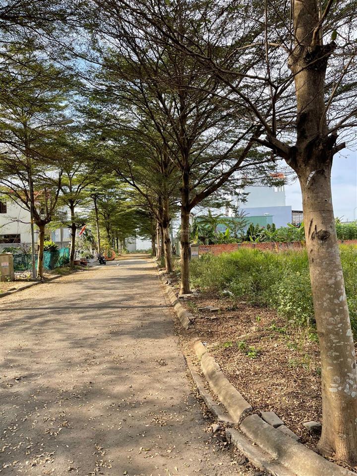 Săn ngay đất nền kdc thời báo kinh tế, bưng ông thoàn, p. phú hữu, q9, dt 160m2, 56 tr/m2