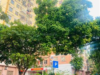Bán chung cư thang bộ trần đăng ninh, cầu giấy, 85m2, 3 ngủ, 2wc thoáng, giá 7,4 tỷ