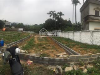 Bán đất trục chính phú mãn, làm nhà vườn kinh doanh để ở đều đẹp