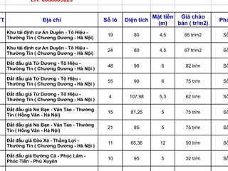 Đất đấu giá thường tín. 96m2, 2 mặt thoáng, khu vực tiềm năng