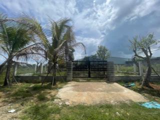 Ngộp 2 nền kế nhau 6,5x28m, 10x28m kế bên hóc môn