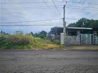 Bán đất 249m2 tại đường vô nhiễm, xã gia kiệm, thống nhất, đồng nai, giá 1,55 tỷ