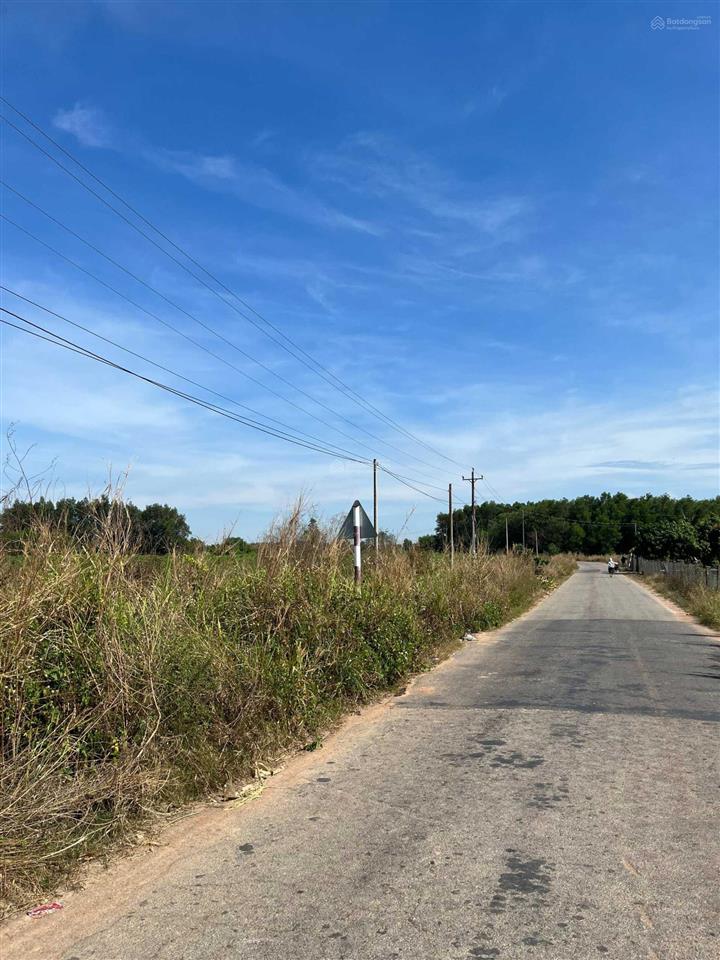 Cần bán 2.4 hecta, mặt tiền đường nhựa 220m tại đường số 12, thôn suối giêng, xã tân đức