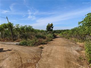 1,4ha đất đỏ bazan (thực tế hơn 2ha) lộc điền, lộc ninh, bình phước (cũ)