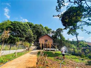 Bán nhà vườn nghỉ dưỡng phường xuân lập điện nước đầy đủ sử dụng ngay