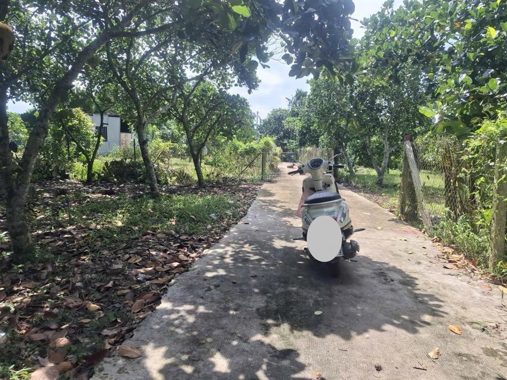 Bán 1.000m2 vườn trái cây có thổ cư  ấp 4 bình lộc  long khánh  đồng nai