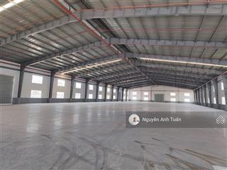 Cho thuê hoặc chuyển nhượng nhà xưởng khu công nghiệp tại tp. thủ dầu một, bình dương