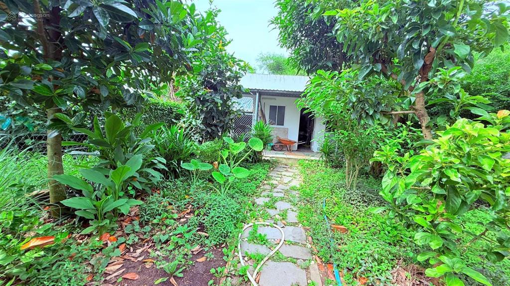 Sở hữu nhà vườn có hồ bơi  hồ cá koi, 3pn, gần quốc lộ 55, giá tốt 3,8 tỷ