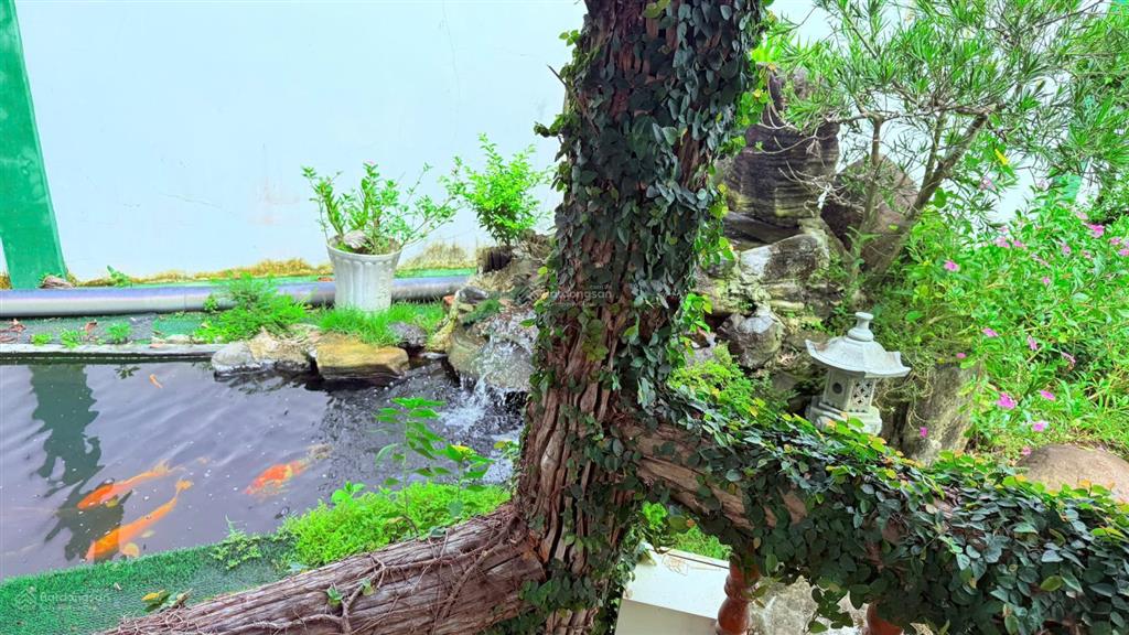 Sở hữu nhà vườn có hồ bơi  hồ cá koi, 3pn, gần quốc lộ 55, giá tốt 3,8 tỷ
