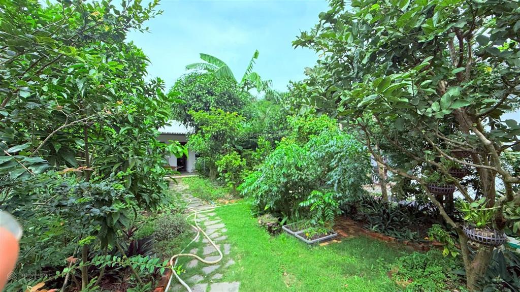 Sở hữu nhà vườn có hồ bơi  hồ cá koi, 3pn, gần quốc lộ 55, giá tốt 3,8 tỷ