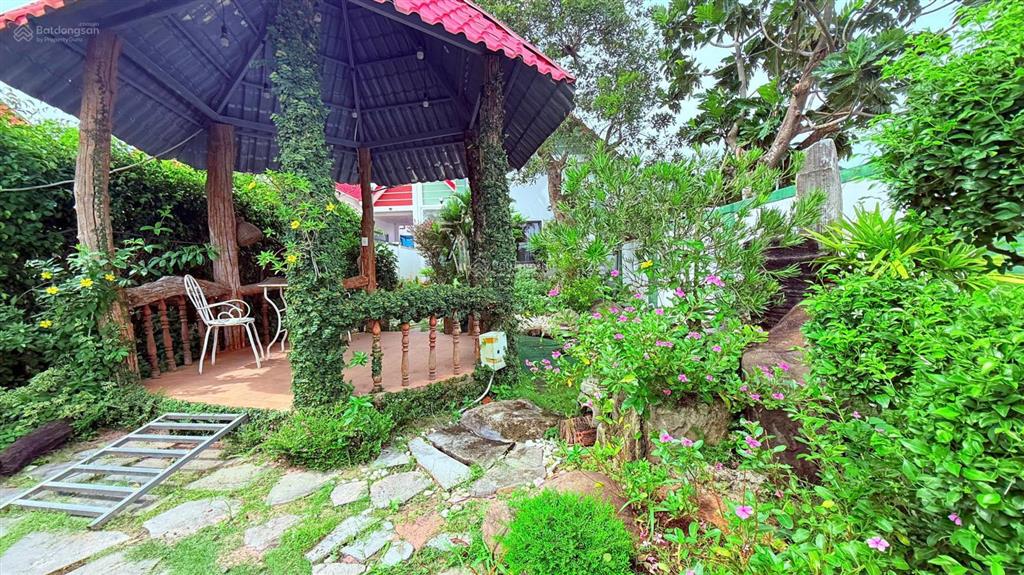 Sở hữu nhà vườn có hồ bơi  hồ cá koi, 3pn, gần quốc lộ 55, giá tốt 3,8 tỷ