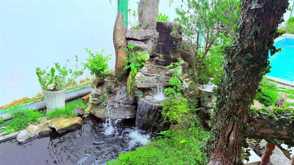 Sở hữu nhà vườn có hồ bơi  hồ cá koi, 3pn, gần quốc lộ 55, giá tốt 3,8 tỷ