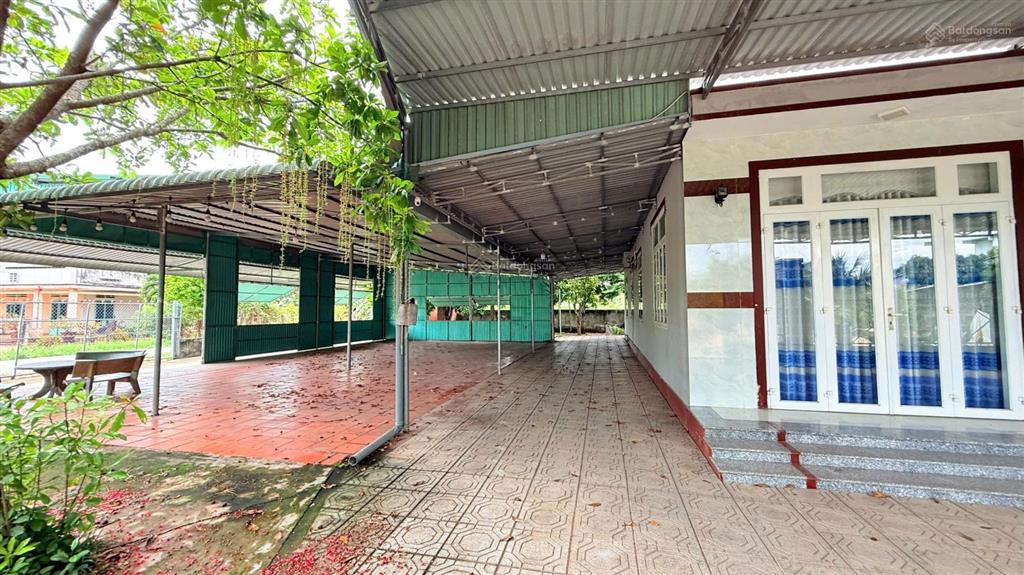 Ngộp giảm giá lô góc hồ tràm  xã hồ tràm  tp hồ chí minh