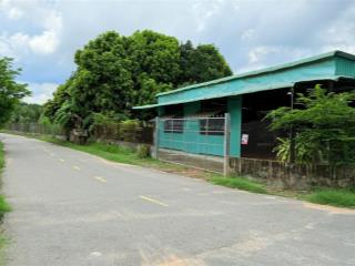 Ngộp giảm giá lô góc hồ tràm  xã hồ tràm  tp hồ chí minh