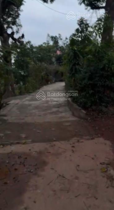 Chính chủ cần bán 118m2 full thổ cư đất tại tân hoà  quốc oai. giá siêu rẻ chỉ 1,7 tỷ